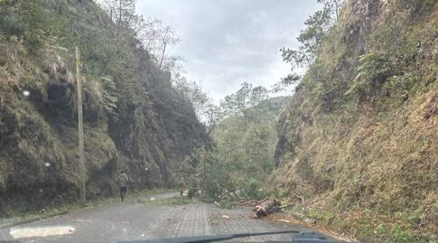 Después de la tormenta, Tenango de Doria enfrenta obstáculos viales por árboles caídos