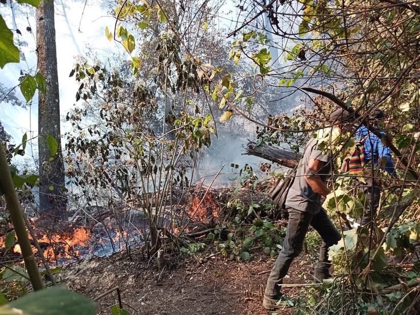 Incendio forestal fuera de control en Tlahuiltepa | Foto: Especial