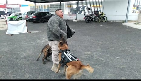 Unidad canina, un cuerpo policial único y diferente