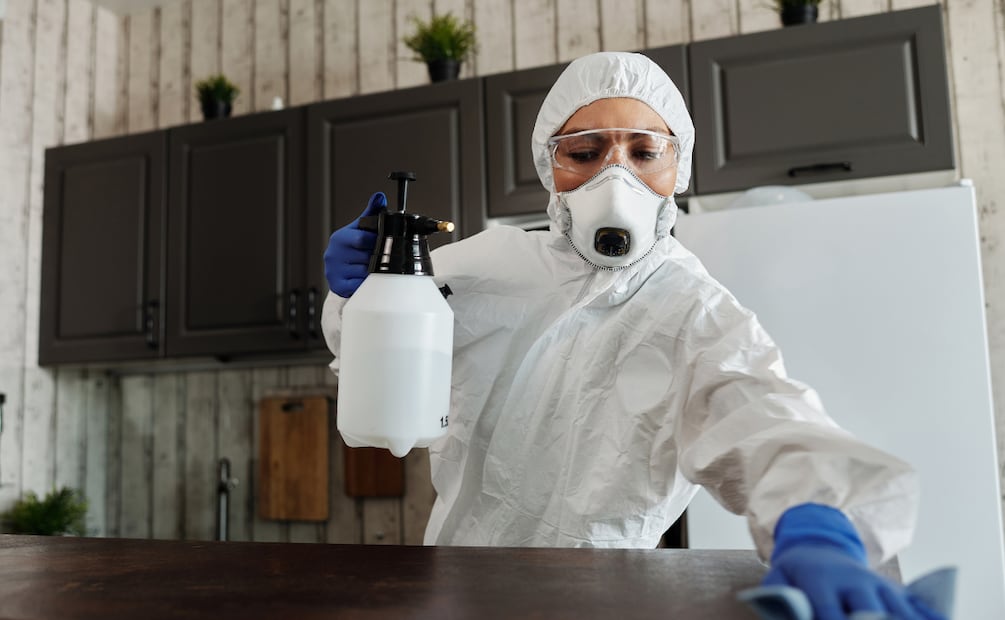 Hidalgo registra 85 casos de dengue en 2025; San Felipe Orizatlán concentra la mayoría | Foto: Pexels