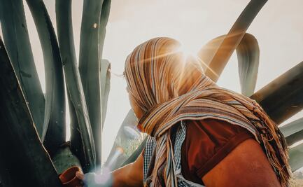 Hidalgo busca declarar 44 municipios como región aguamielera con respaldo del IMPI