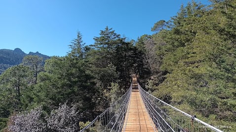Mineral del Chico estrena el puente colgante más largo de Hidalgo, una experiencia en la Comarca Minera