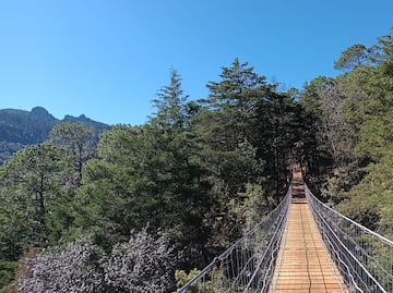 Mineral del Chico estrena el puente colgante más largo de Hidalgo, una experiencia en la Comarca Minera