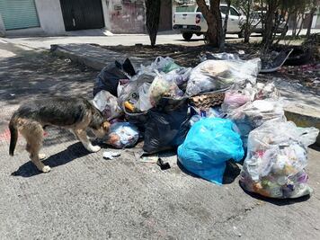 Se espera 250 toneladas de basura posterior a festejos navideños