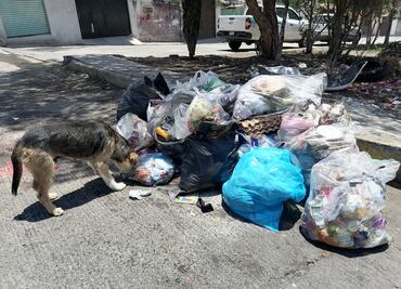 Se espera 250 toneladas de basura posterior a festejos navideños