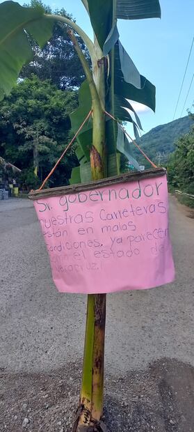 Protestan sembrando plátanos en baches por pésimo estado de carretera en la Huasteca | Foto: Especial