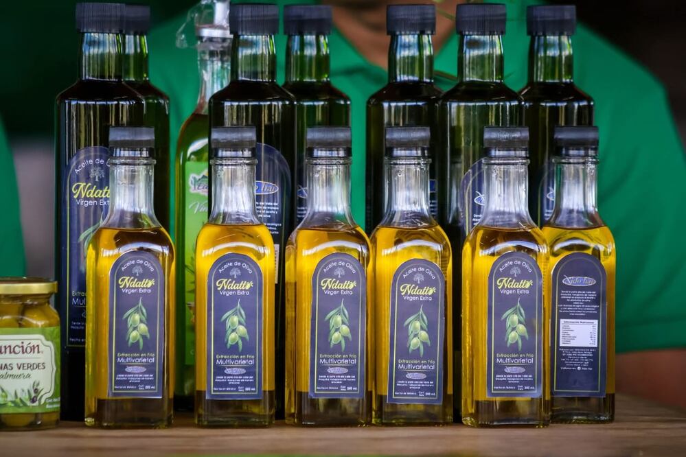 Expo Olivo  I Foto: Especial