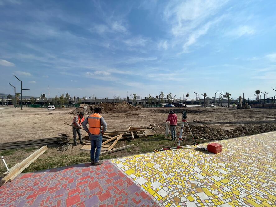 Foto: Marco Carrillo