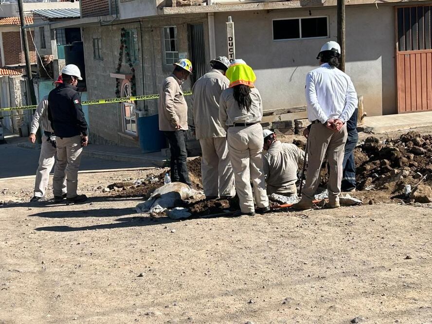 Intervienen diversas autoridades para asegurar el control y la seguridad | Foto: Especial