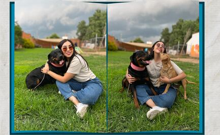 Rescatan a tres caninos víctimas de maltrato en Pachuca; investigan nuevo caso en Zacualtipán