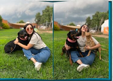 Rescatan a tres caninos víctimas de maltrato en Pachuca; investigan nuevo caso en Zacualtipán