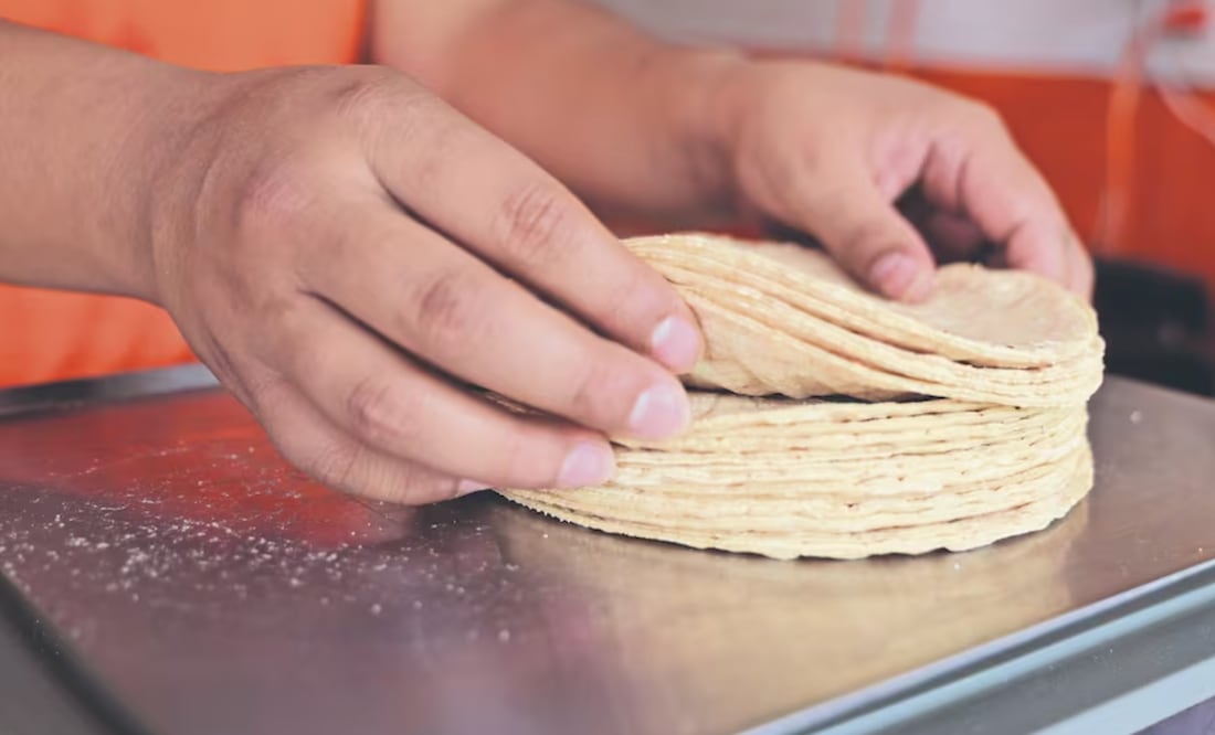 Foto: SERGIO GARCÍA/EL UNIVERSAL