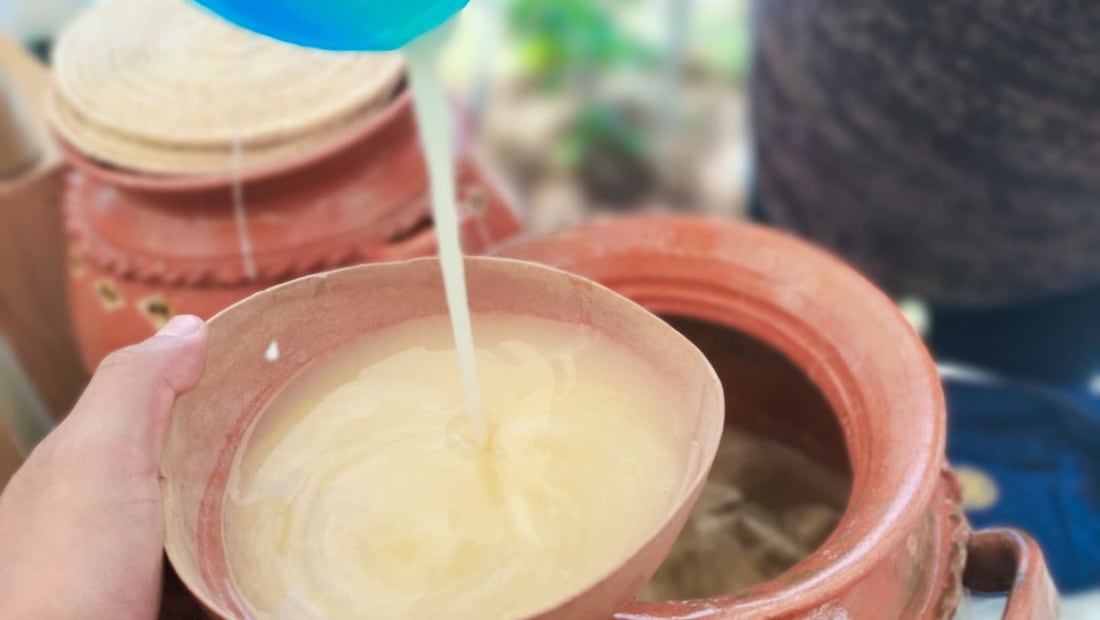 Hidalgo, cuna del pulque: tradición viva entre magueyes y sabores ancestrales | Facebook: Rancho la Gaspareña