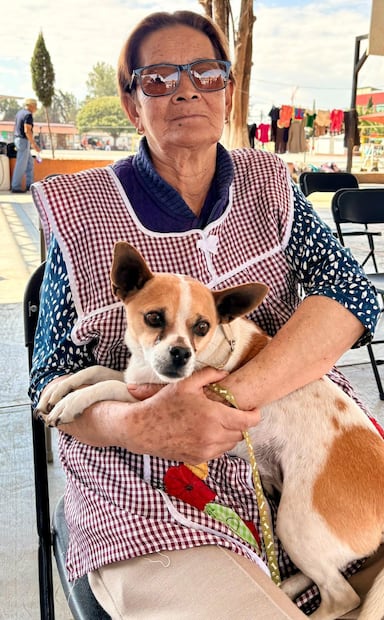 Arranca vacunación antirrábica en Hidalgo; buscan proteger a más de 289 mil mascotas en una semana | Foto: SSH