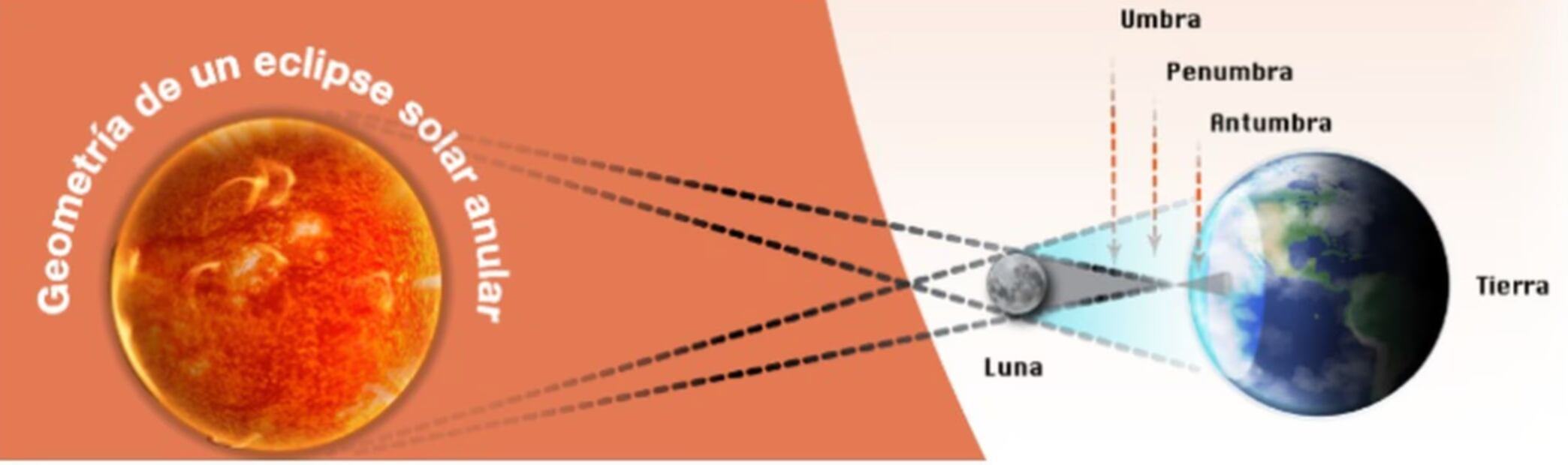 Cómo ver el eclipse solar 2023 desde tu celular
foto: especial
