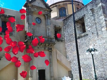 Llueven pétalos en Mineral del Chico: una tradición en Hidalgo que florece cada Semana Santa