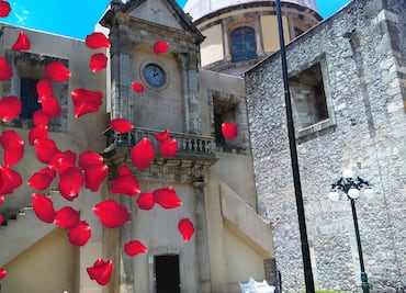 Llueven pétalos en Mineral del Chico: una tradición en Hidalgo que florece cada Semana Santa