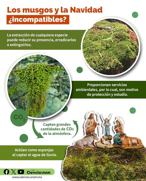 Infografía: Ciencia UNAM