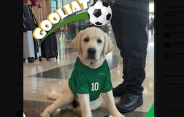 ¿Quién es Goliat y cuál es relación con el AIFA y el Mundial 2026?