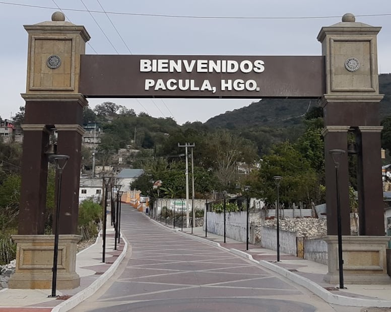 Hidalgo inicia la construcción del Programa Estatal para la Conservación del Jaguar | Foto: Pexels