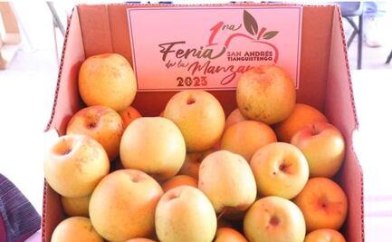 Anuncian segunda edición de la Feria de la Manzana en Actopan.
