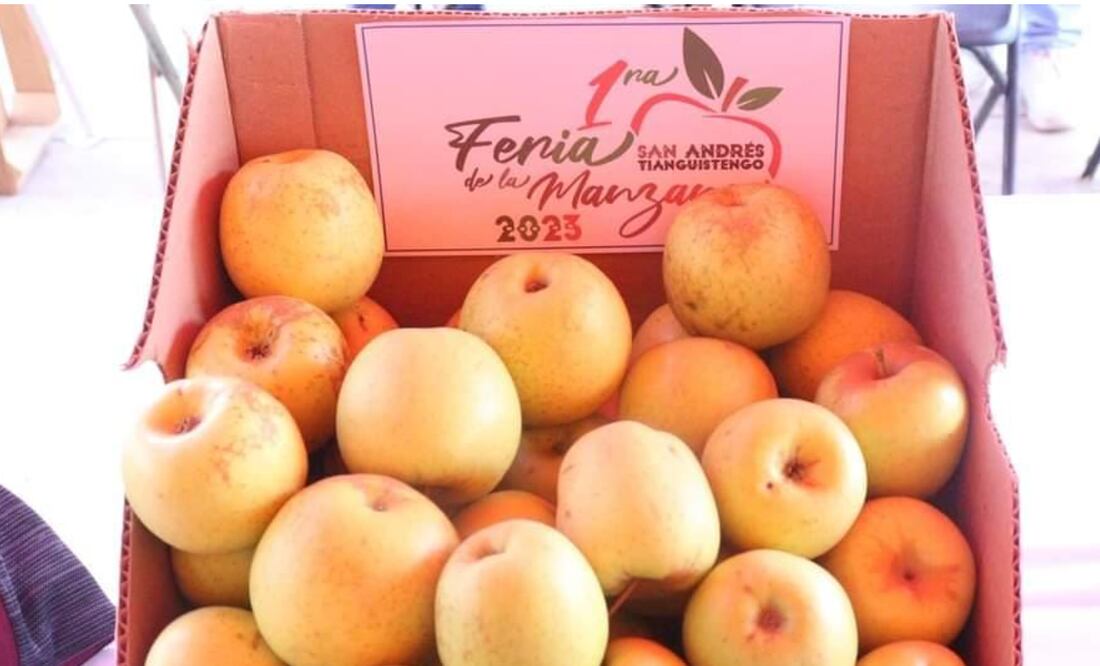 Foto: Erika Gutiérrez