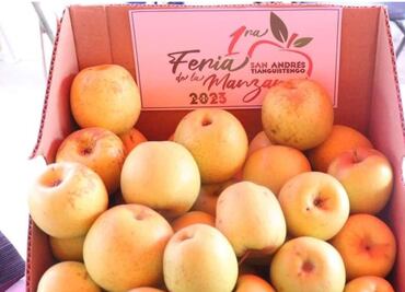 Anuncian segunda edición de la Feria de la Manzana en Actopan.