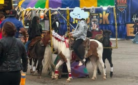 Señalan presunto maltrato a ponis instalados en la Expo Feria Tulancingo 2026