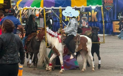 Señalan presunto maltrato a ponis instalados en la Expo Feria Tulancingo 2026