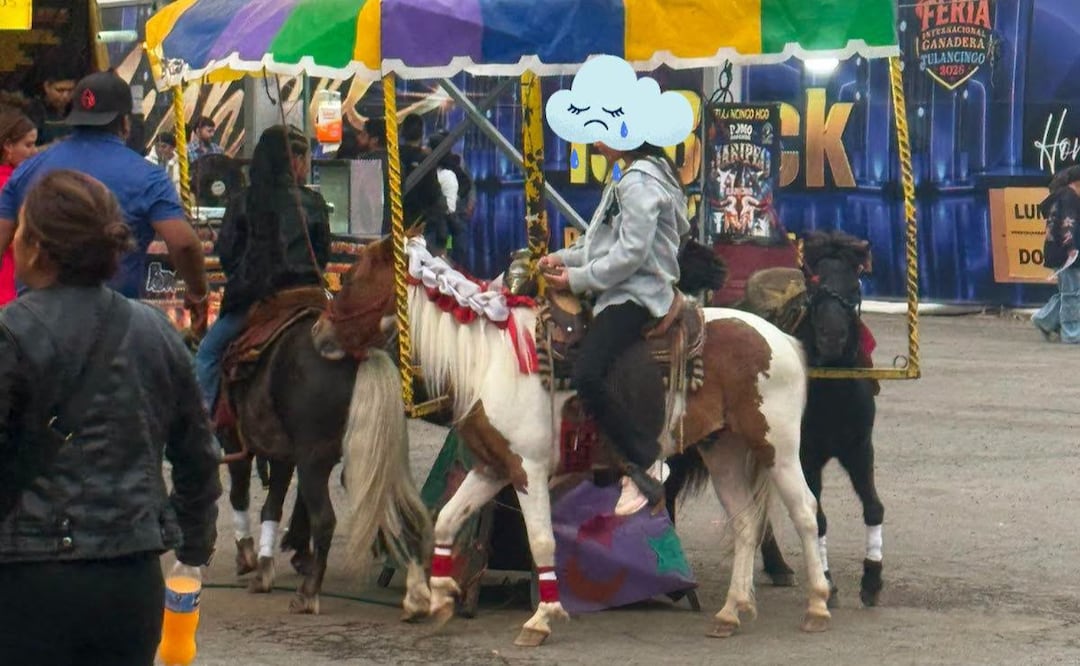 Piden revisar el uso de ponis en la Expo Feria Tulancingo 2026 | Facebook: La Jauria de Balú