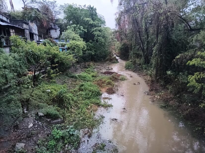 Foto: Francisco Bautista