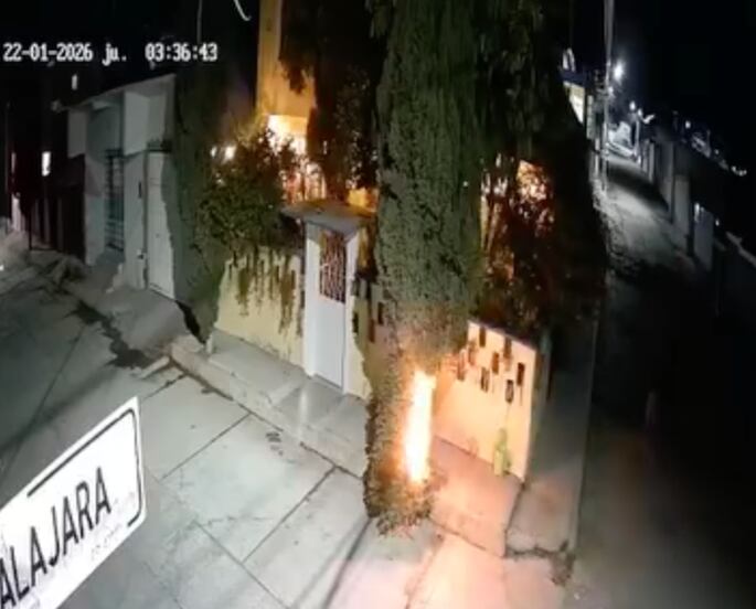 Incendian árbol de Navidad abandonado y provocan quema de un ciprés en Pachuca