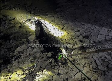 Capturan cocodrilo en comunidad de Las Cruces, Nopala