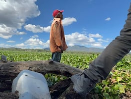 Voces desde la presa Endhó: lirio, contaminación y enjambres de mosco