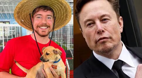 ¿Se acerca nueva colaboración entre Elon Musk y MrBeast? Esto se sabe