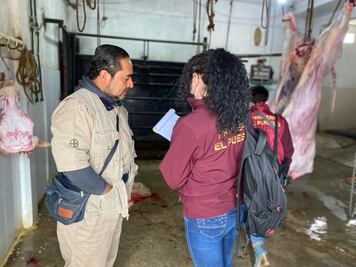 Alimento que mató a ganado provenía de Veracruz