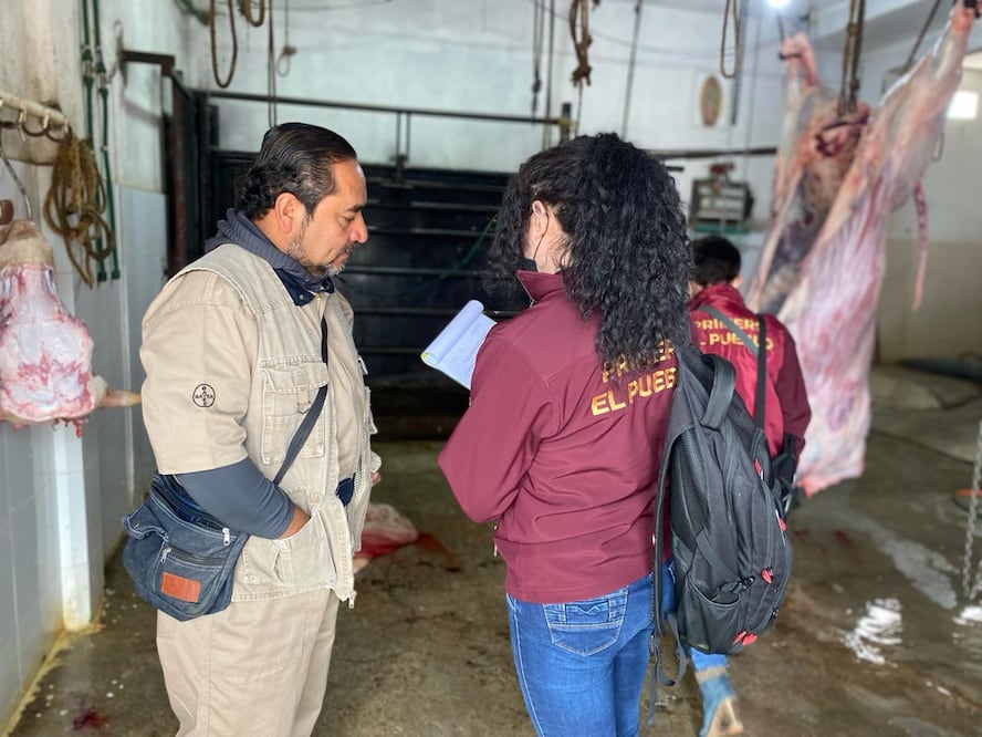 El primer síntoma de intoxicación en los animales que consumieron pollinaza contaminada es la pérdida de equilibrio
| Foto: Especial