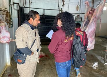 Alimento que mató a ganado provenía de Veracruz