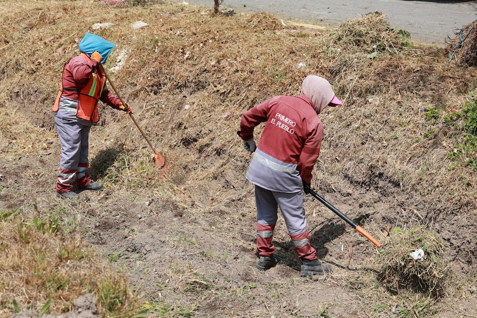 Entre basura, drenes y bulevares: la historia de “Panchita”, 18 años limpiando las calles de Hidalgo | Foto: especial