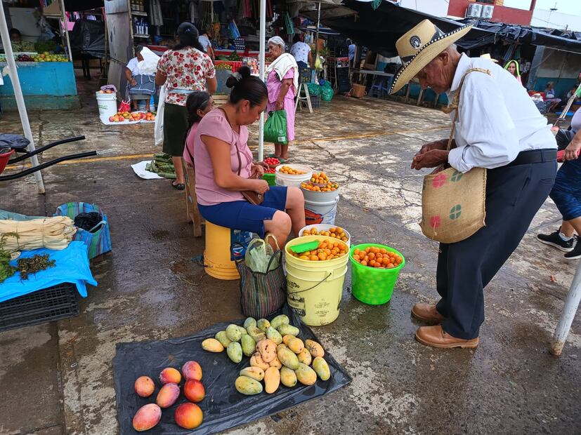En esta temporada la abundancia de mango genera que su precio este muy bajo, pues se ponen a la venta 3 mangos de cualquier especie por 10 pesos. I Foto: Francisco Bautista