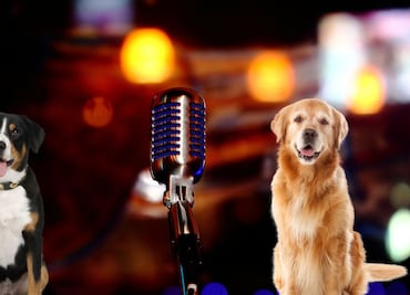 PROESPA Hidalgo organiza concurso de canto acompañados de mascotas