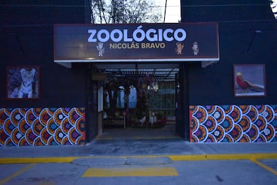 Zoológico Nicolás Bravo recibe tres monos araña y renueva sus espacios para el periodo vacacional