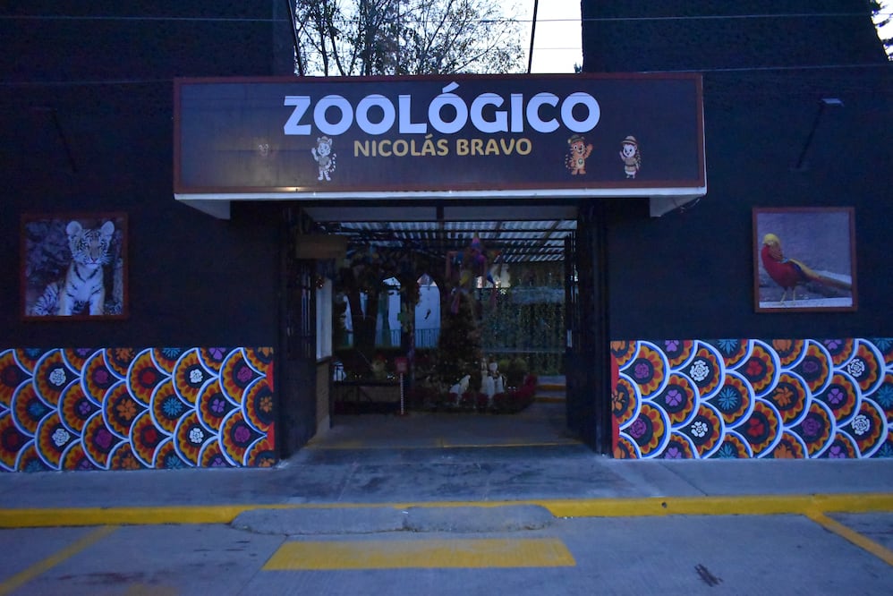 El Zoológico Nicolás Bravo de Tulancingo estrena nuevos habitantes | Foto: especial