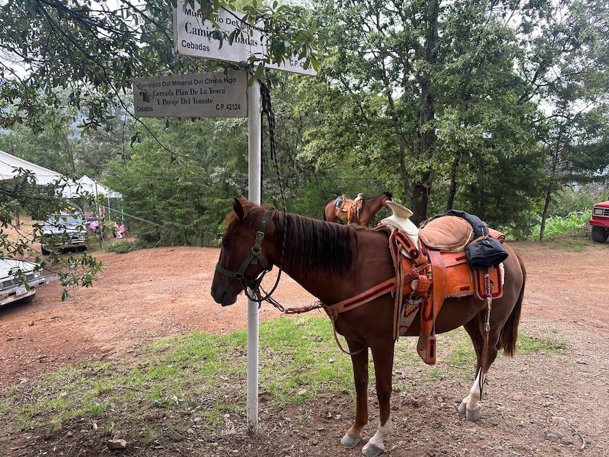 Foto: Turismo Hidalgo