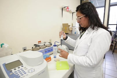 Desde la ciencia hidalguense, innovación para una alimentación más segura