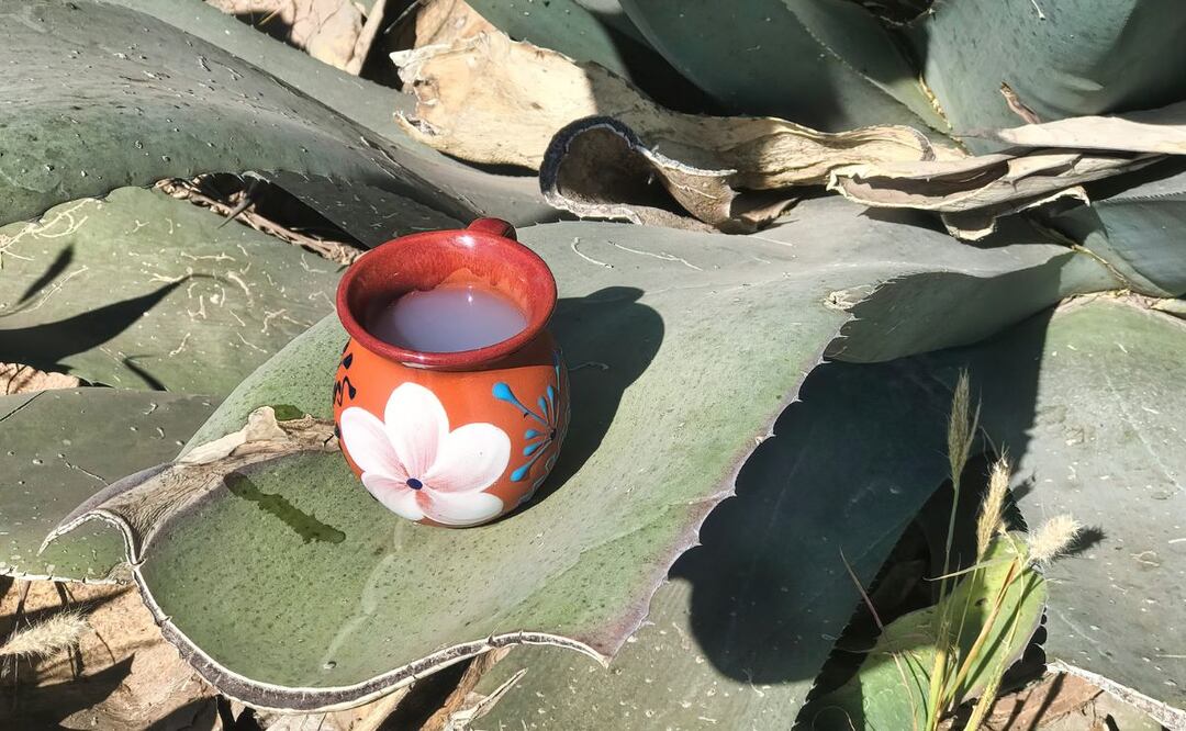 La declaratoria será válida cuando se publique en el Diario Oficial de la Federación | Foto: Studio Mexico