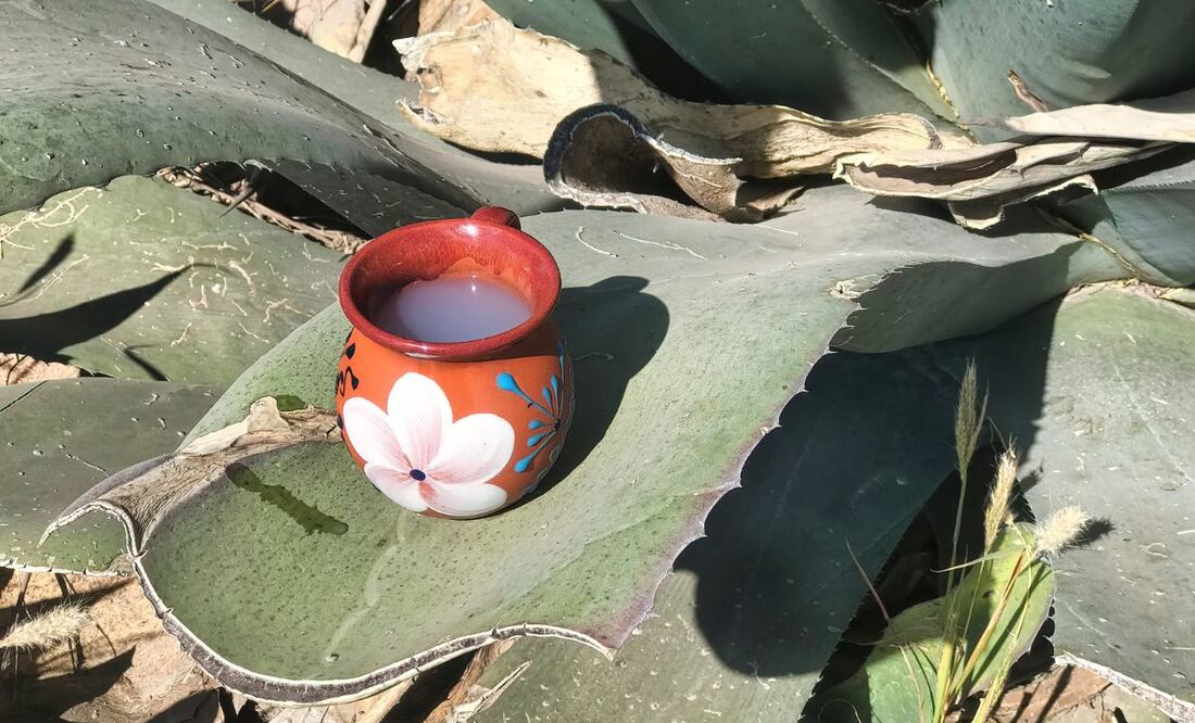 La declaratoria será válida cuando se publique en el Diario Oficial de la Federación | Foto: Studio Mexico