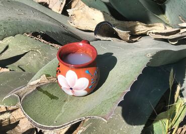 Hidalgo, a un paso de ser reconocida como región aguamielera: IMPI