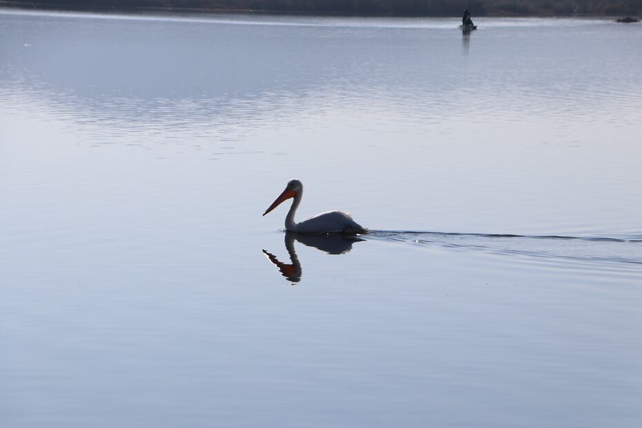 Laguna de Tecocomulco Foto: Gobierno de Hidalgo