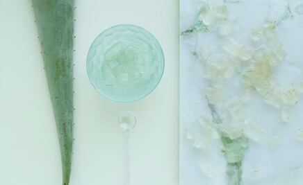 Conoce las propiedades y beneficios del aloe vera para la salud